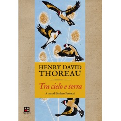 Henry D. Thoreau - Tra cielo e terra