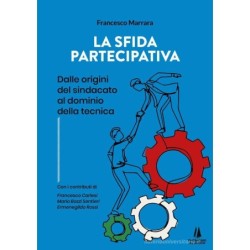 La sfida partecipativa....