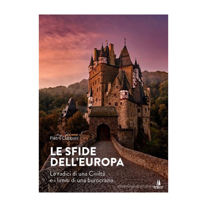 Le sfide dell'europa. le radici di una civiltà e i limiti di una burocrazia