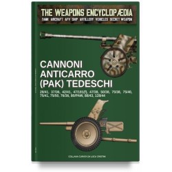 Cannoni anticarro (pak)...