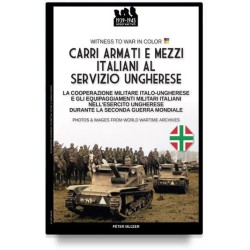 Carri armati e mezzi...