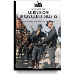 Divisioni di cavalleria...