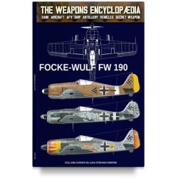 Focke wulf fw-190