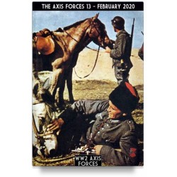 Axis forces (2020) (the)....