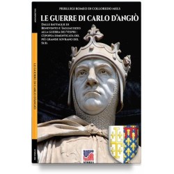 Guerre di carlo d'angiò....