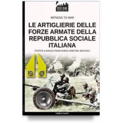 Artiglierie delle forze...