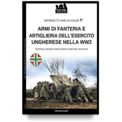 Armi di fanteria e...
