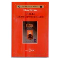 Luilei libro dell'amore magico