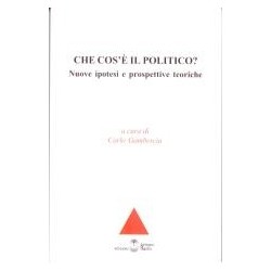 Che cos'è il politico?...