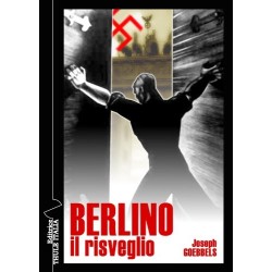 Berlino. il risveglio