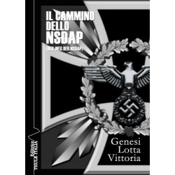 Cammino dello nsdap....