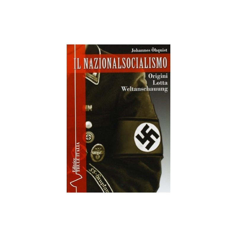 Nazionalsocialismo. origini. lotta. Weltanschauung
