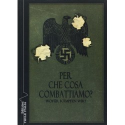 Per che cosa combattiamo?