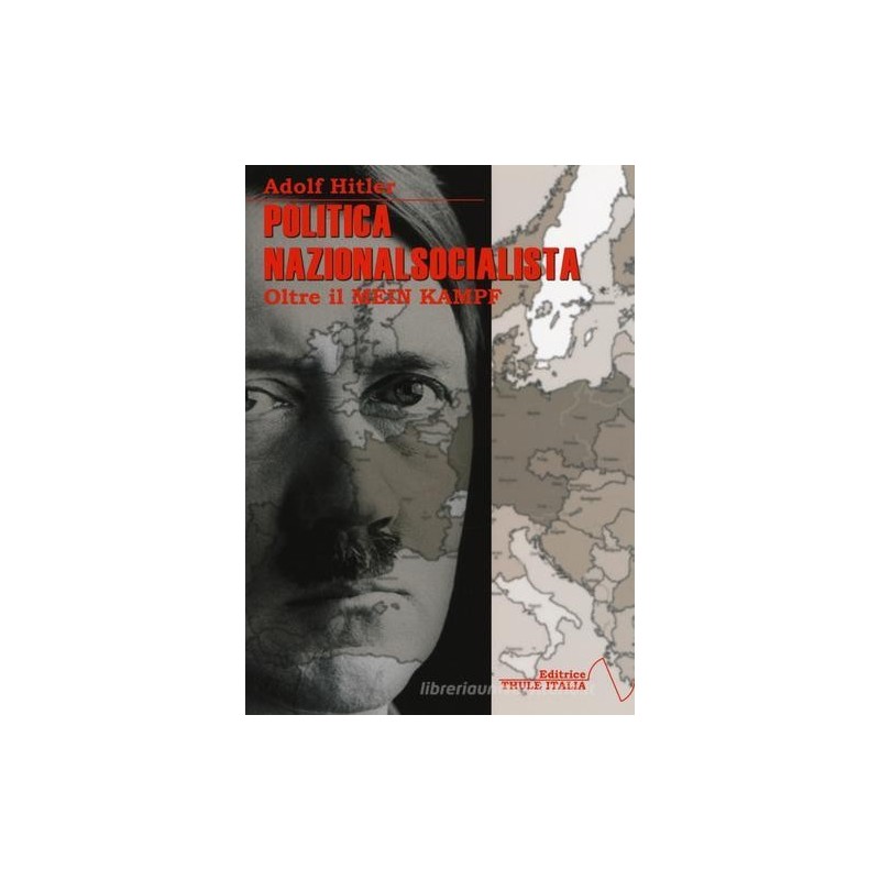 Politica nazionalsocialista. oltre il mein kampf