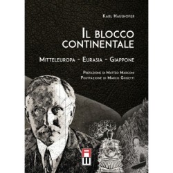 Blocco continentale. europa...