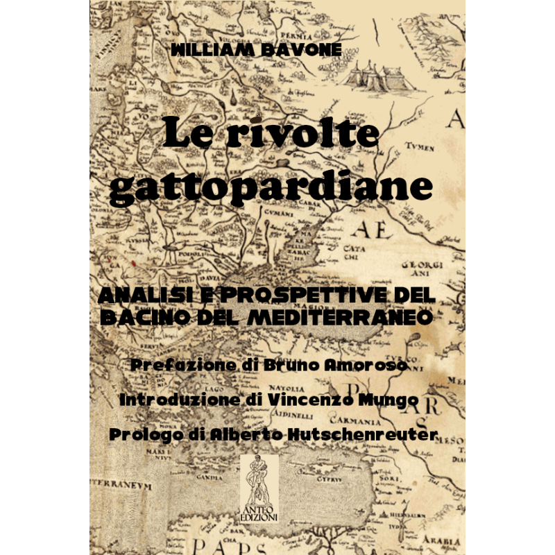 Rivolte gattopardiane. analisi e prospettive del bacino del mediterraneo