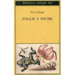 Foglie e pietre
