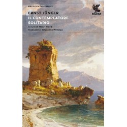Il contemplatore solitario