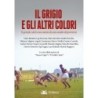 Il grigio e gli altri colori. il grande calcio raccontato da uno stadio di provincia