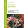 America profonda. alt-right, tensioni razziali, disagio sociale. racconto di un paese diviso